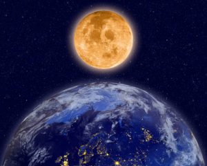 © Nadalina | Fotolia.com