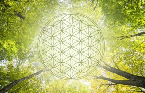 © reichdernatur | Fotolia.com